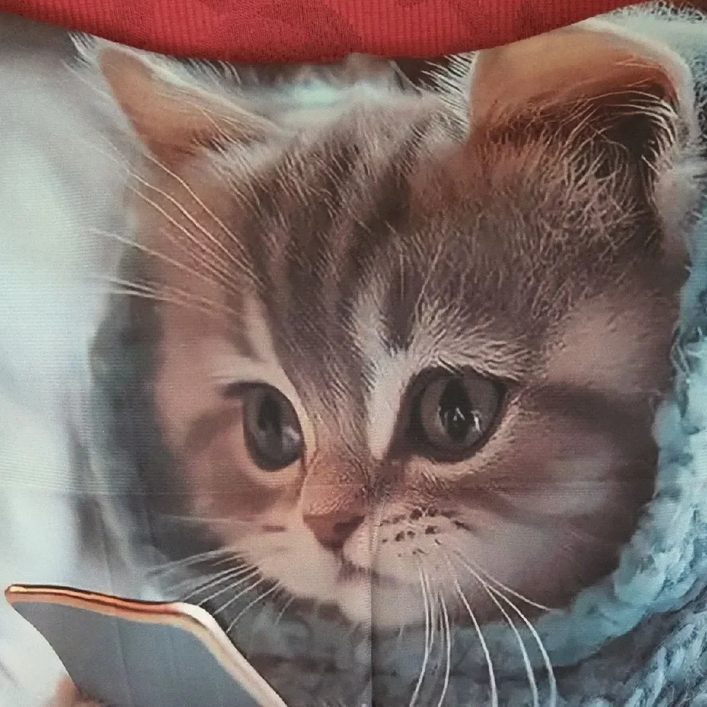 NWOT Cozy Cat Pillow Cover with Smartphone Design